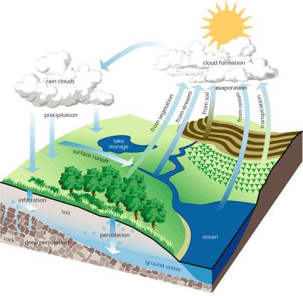 Hydrologic Cycle Gravity Recovery and Climate