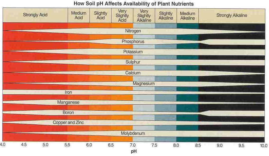 Results will vary with plant stresses including a lack of water, too much water that creates waterlogged soils, crop load, pest injury (foliar pests, borers and vole damage); pesticides containing
