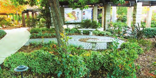 The garden provides a great example of water-efficient plants that can be used in residential