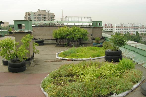Figure 3: The Roof Garden by Alla Sokol. http://www.the-village.