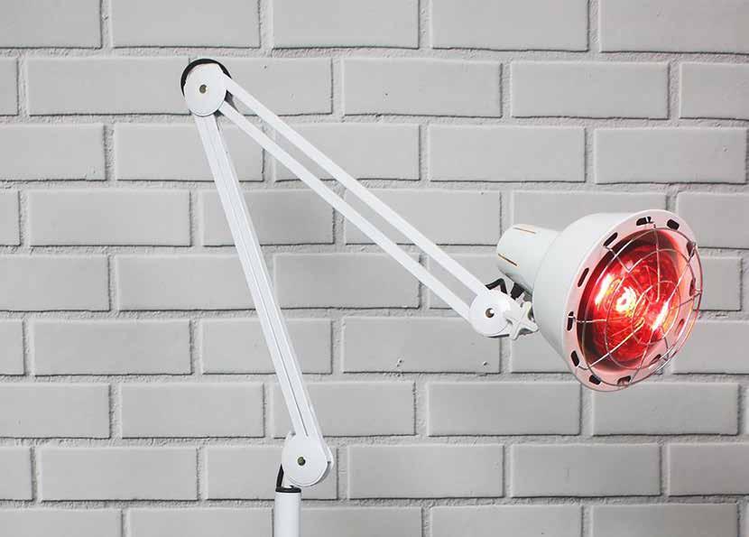 SPECIAL BULB INFRA BULBS The special infra bulbs are available in three wattages in clear, red and full red colors.