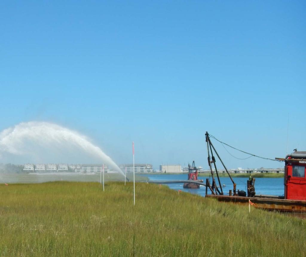 Natural Infrastructure for Coastal Resilience
