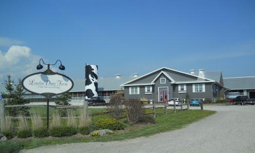 scale agri-business operation (London Dairy Farms) along the south side of Highway 401; and