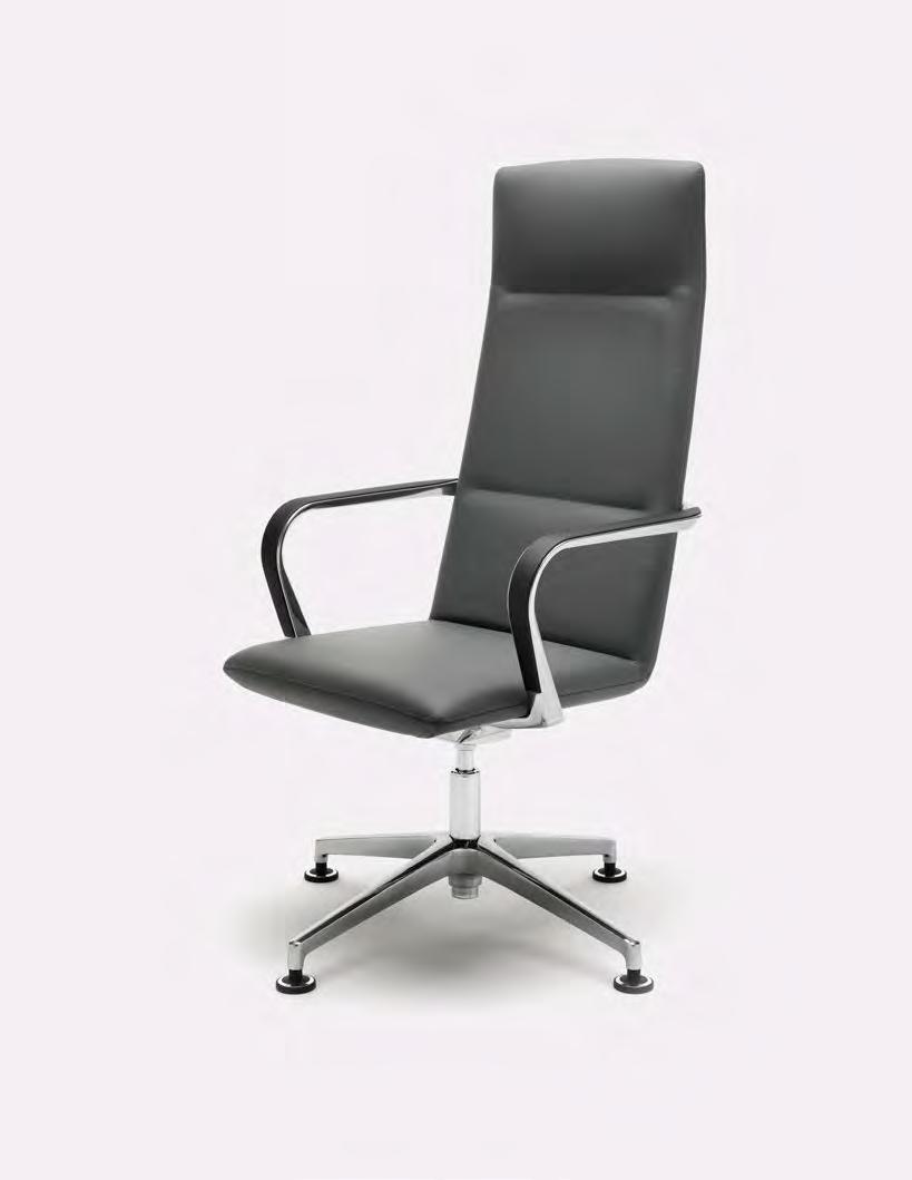 Chair Collection 043 Rapt FOCUSED SIMPLICITY Rapt exudes poise and offers a fresh alternative to the established norms of executive seating.