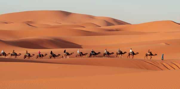 ADVENTURE IN MOROCCO Camel Trekking The best places for camel trekking in Morocco are in the dunes of the Erg Chebbi or trekking from Mhamid to the Erg Chigaga.