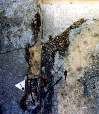 Sample no. 3 Location Cella, interior. West wall. At the panel. Decoration Last decoration in the cella. Layer Upper layer, covering earlier decoration. Covering no. 4. Photo Film 17, photo 4, 5, 10.