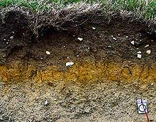 Soil Characteristics Soil is formed from a combination of