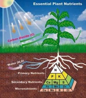 Soil Nutrients and ph