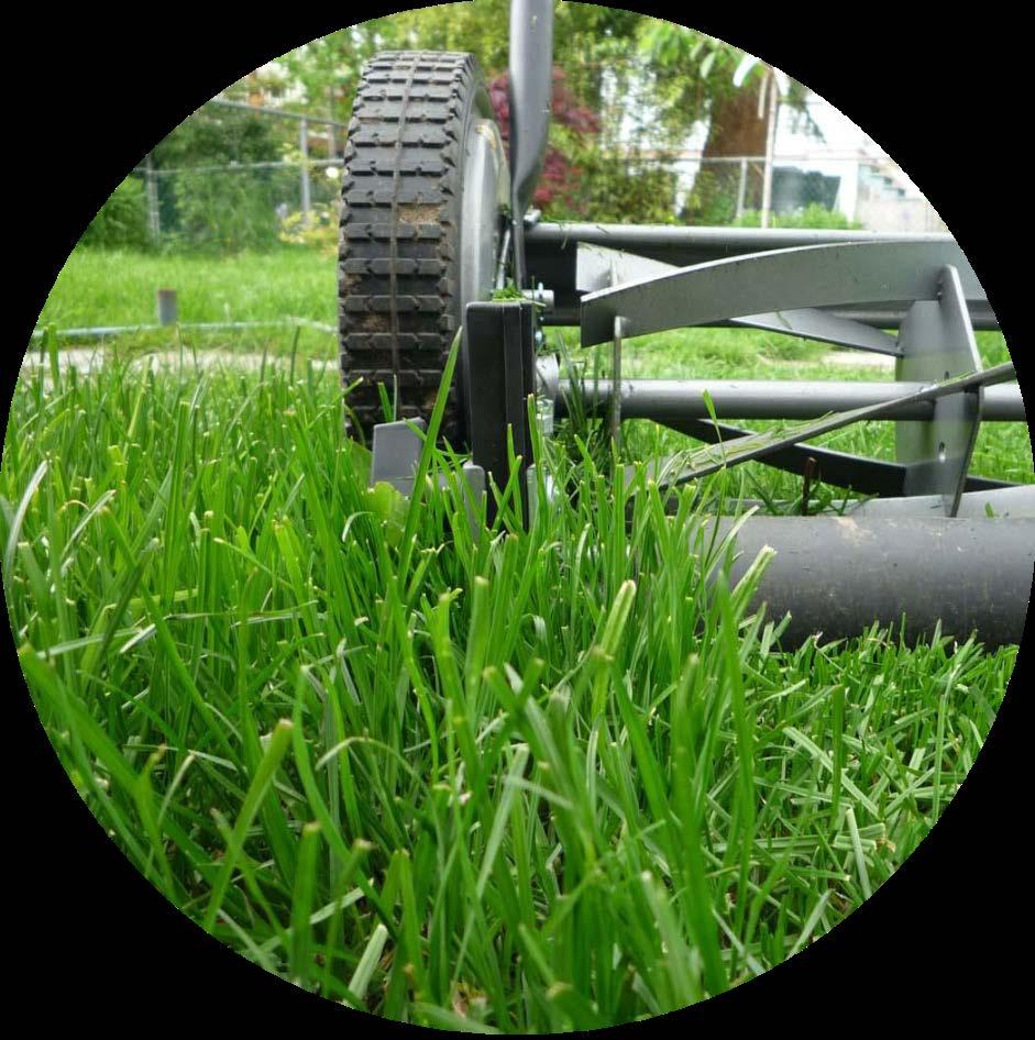 STEP 11: Enjoy your healthy lawn! Start mowing once the grass needs to be cut. Remember - never remove more than 1/3 of the grass at one time.
