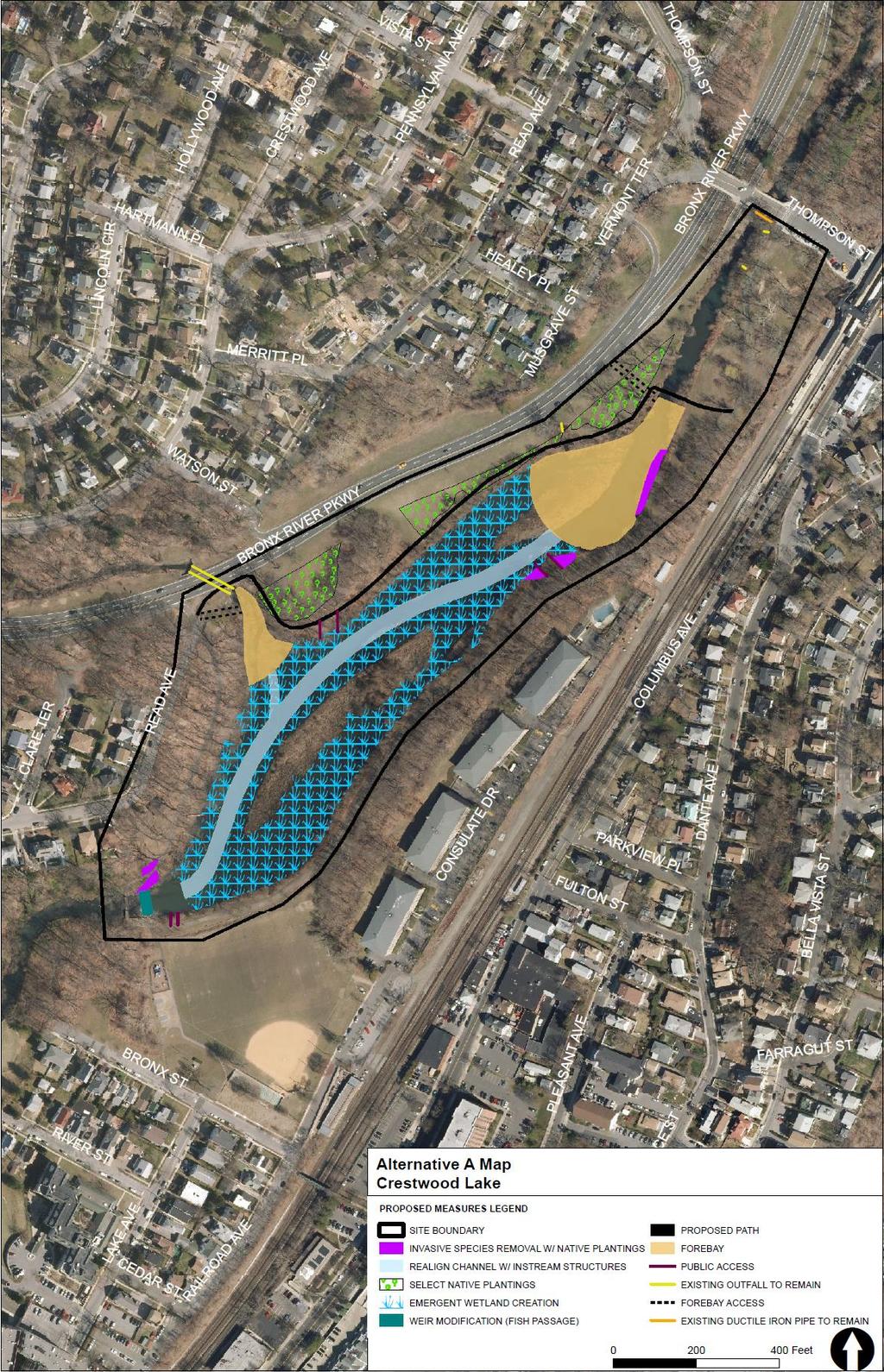 Muskrat Cove Tentatively Selected Plan Design: Invasive species removal with native plantings on the upland slopes and along both banks throughout the length of the site (~0.49 ac ).
