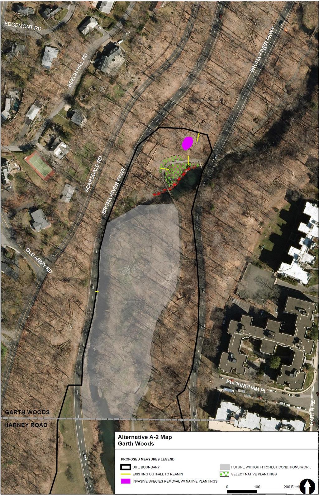 Construction of three culverts under the southbound lanes of Bronx River Parkway to transfer river water to emergent cattail-dominated wetlands created throughout most of the maintained lawn area on