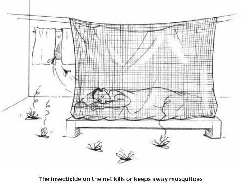 Why insectical coated nets?