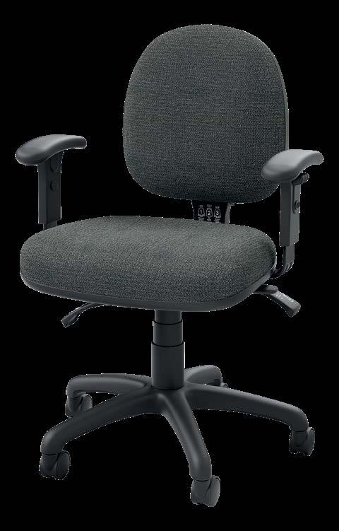 Acclaim Classic The Acclaim Classic task chair combines ergonomic adjustment with pronounced lumbar support and comprises dual density moulded foam,