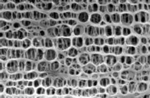 Figure 2-10 Scanning electron microscope photograph of a micro porous membrane (Patent Pending, Celgard product literature) (Photos used with permission from Celgard, LLC) The DEVap cooling core