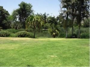 Monitoring lawn water use Our measurements in Los Angeles have shown that lawns can indeed transpire large amounts of water at times, but can also have surprisingly low water requirements, depending