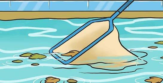 Every pool owner wishes to see sparkling blue water in his pool. But he might want to save some bucks by cleaning the pool himself.