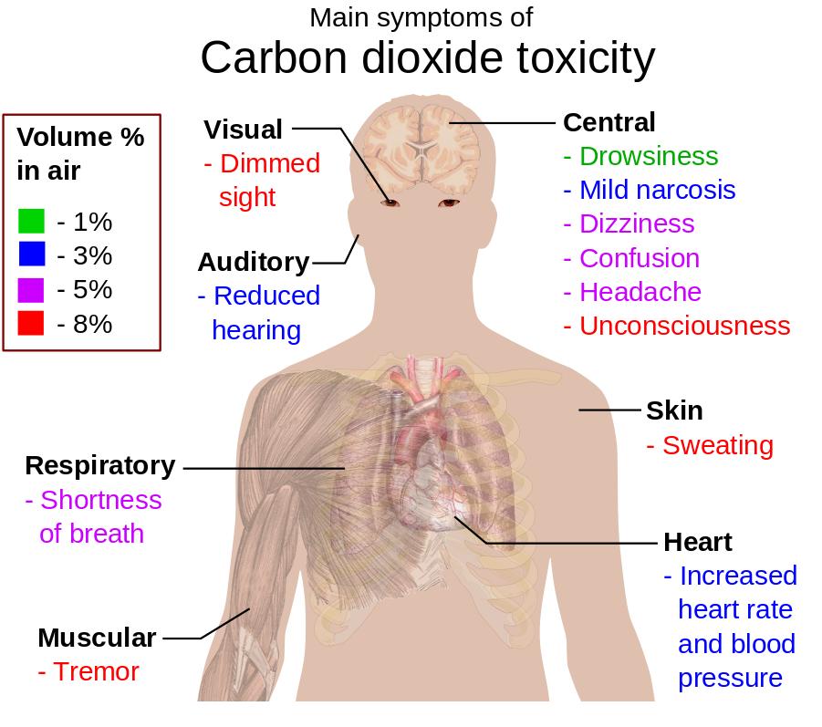 Health risk of CO 2 CO 2 的危险性 Carbon dioxide extinguishes