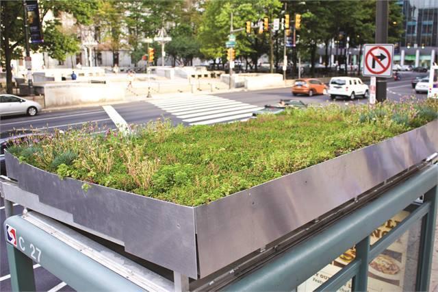 A Deeper Look: Philadelphia Water Department Green Roof Bus Shelter Filled with vegetation, an engineered water retention fabric, a root barrier, and a