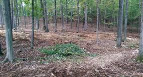 The process reduces soil disturbance to a minimum while simultaneously covering the area with a thin layer of wood mulch that further protects the site from any stormwater or sediment runoff.