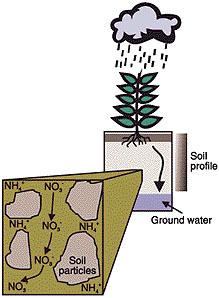 Two Ways That Fertilizers Can Pollute 1.