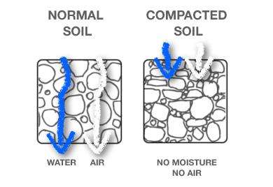 Compacted Soils Lack of oxygen for