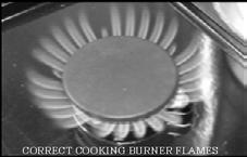 Lighting & Operation COOKING BURNER OPERATION The cooking burner on your FireLuxe functions like a cooking burner on any conventional kitchen range.