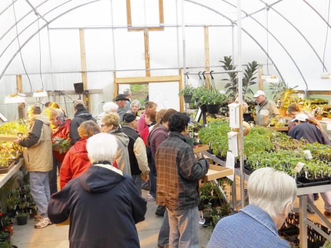 Garden Volunteers Needed Time for Another Garden Year Plant Sale Annual Plant Sale Help arrange the plants for
