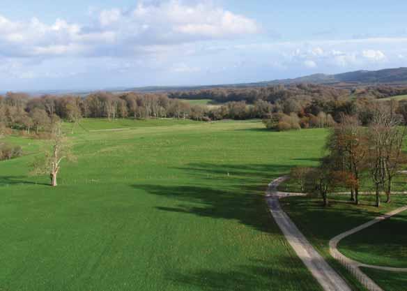 Character Area: Lulworth Wooded Pasture Lulworth Park has a mixed character but is dominated by an intimate parkland landscape and castle set within low rolling hills.