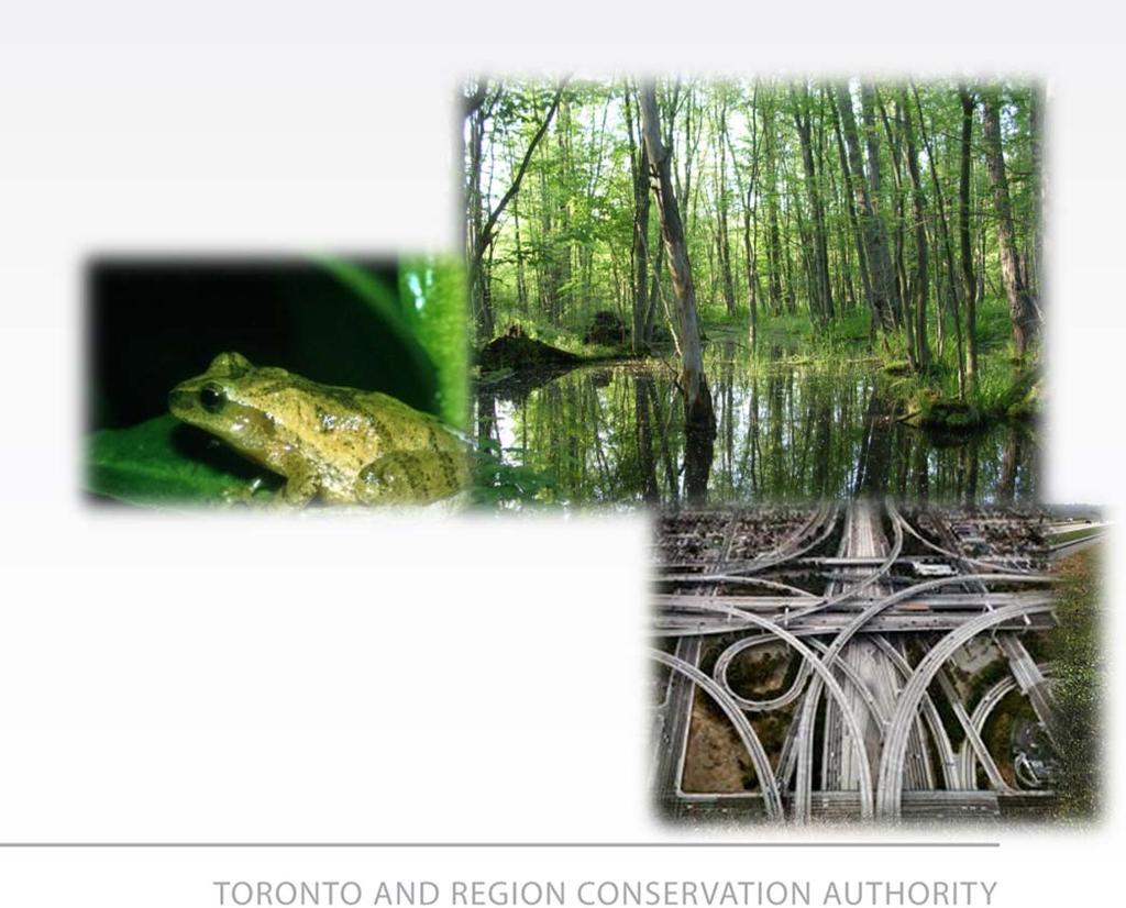 Peel Road Ecology Study Goal: To assist transportation managers make strategic and proactive