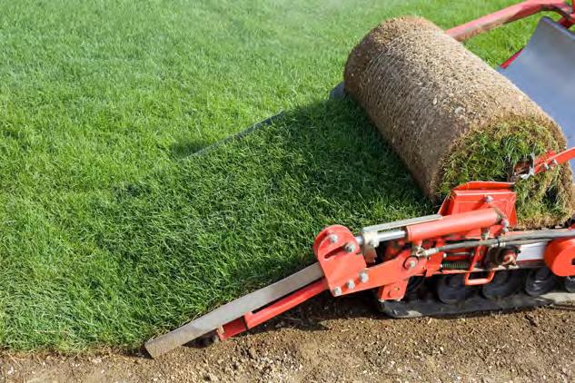 Turf MGMT. option #3: Sod Cutter: removing your turf with a sod cutter.