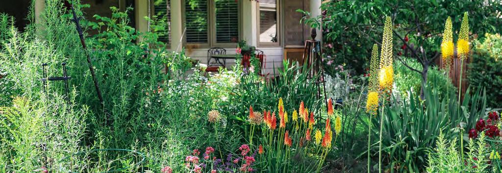 What is Xeriscaping?