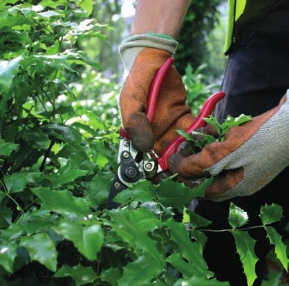 Introduction Oakleaf Grounds Services offer a full, high quality landscaping, grounds care and arboricultural service to customers in the West Midlands area in both the public and private sectors.