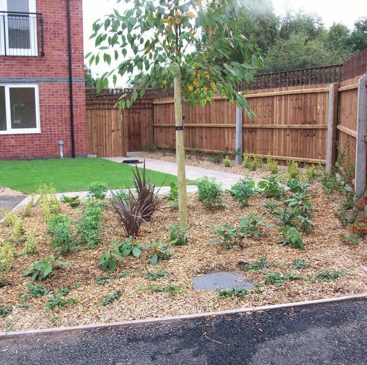 As part of our service, we will maintain existing planting schemes including soil treatments to encourage maximum growth.