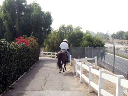 Transportation Streets and Highways Plan Examples of equestrian trails within the public ROW and easements.
