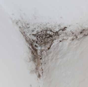 Mould growth on cooler surfaces like window frames, and in unvented spaces