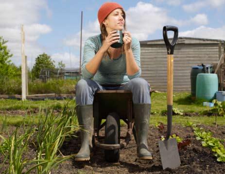 GREAT BRITAIN TRYING FOR GOOD LOOKING OFFSPRING In Britain gardening is more than just a hobby; the British treat their garden plants as growing family members, carefully following each step of