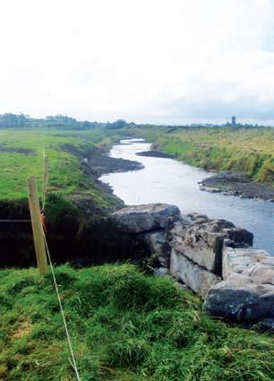 The Environmental River Enhancement Programme (EREP) channels, and in some cases the excavation of new channels. In most cases all bankside vegetation was removed.