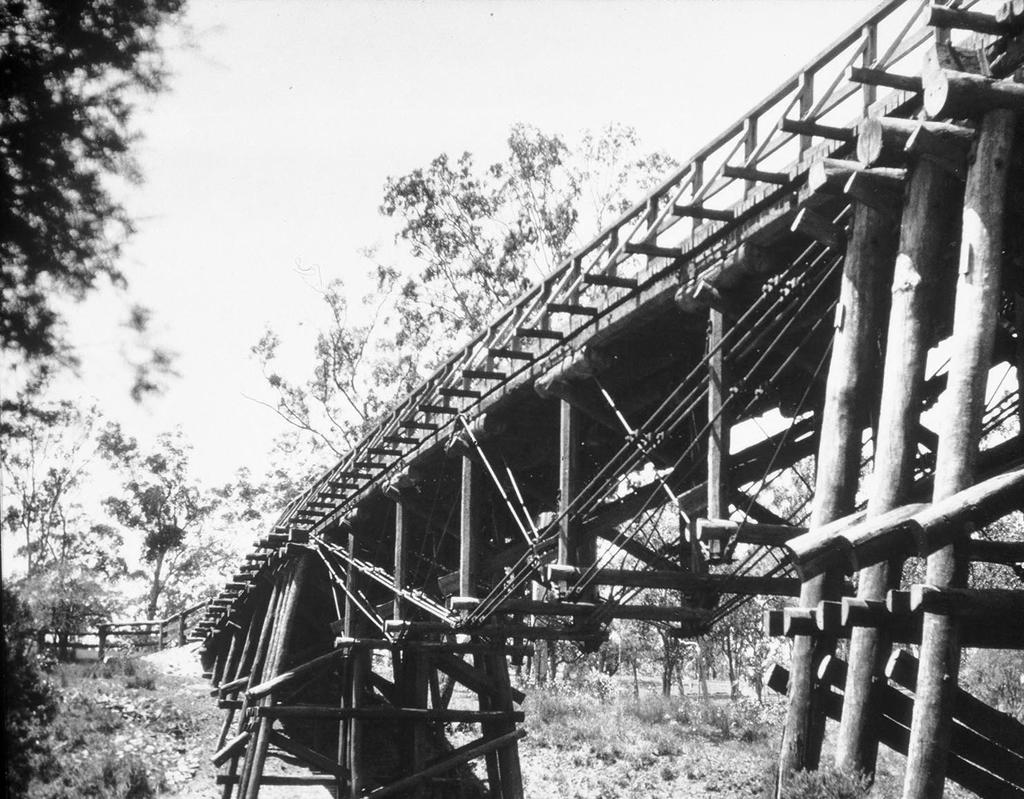 timber and iron road bridge on the Fink principle, Alligator