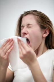Systems & Biological Pollutants Dust and Allergies Comfort Issues High