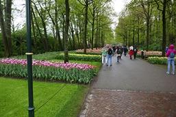 bulbs annually in the park, which covers an area of 79