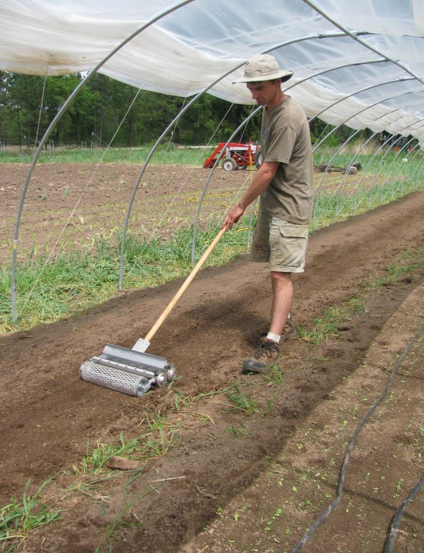 Planting Considerations Balance space, crop size, and disease management Plant rows more densely than outside production Raised beds can warm soil more quickly Plant