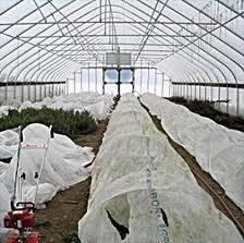 Row Covers Provide up to 8 degrees of frost protection Must be managed daily Removed at least 2-3