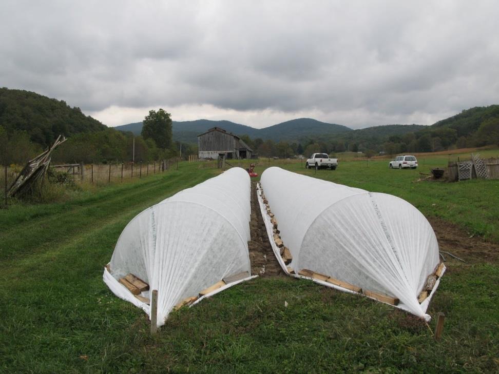 Low Tunnels In-field season extension Low cost Require management of temp
