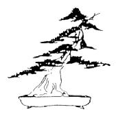 BSV Bonsai News Official Newsletter of the Bonsai Society of Victoria Inc.