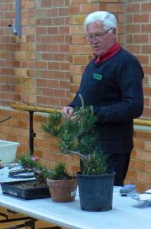 Monday Monthly Meeting 18 Sept 15 Air layering and grafting Peter Fewster Demonstration At the September meeting, Peter Fewster shared many ideas on grafting and air layering.