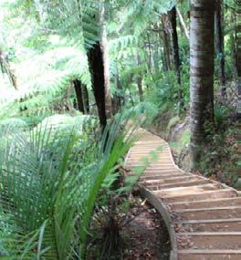 Tracks on Regional Parkland at Piha: Tracks in the Piha area provide recreational opportunities within bush and coastal settings that are removed from many of the sounds, sights and smells of the