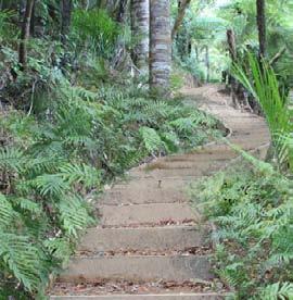 Tracks in the Piha area can reach quite steep terrain and are exposed to high levels of rainfall during the winter months.