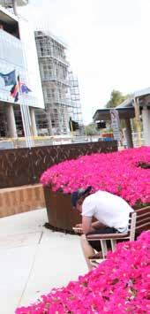 Benara Nurseries are proud to be associated with many small and large scale commercial projects throughout Australia supplying a broad range of products from seedlings to mature trees.
