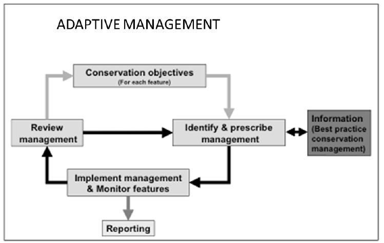 Make the management adaptive Source: Guidelines on climate change and N2000 The flexibility of