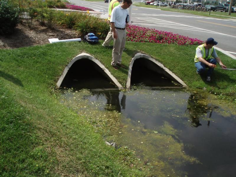 Figure 3: Existing Vegetated Ditch